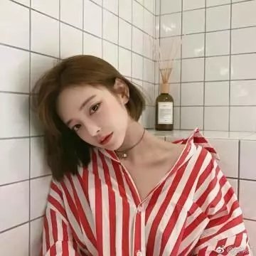盗贼生涯